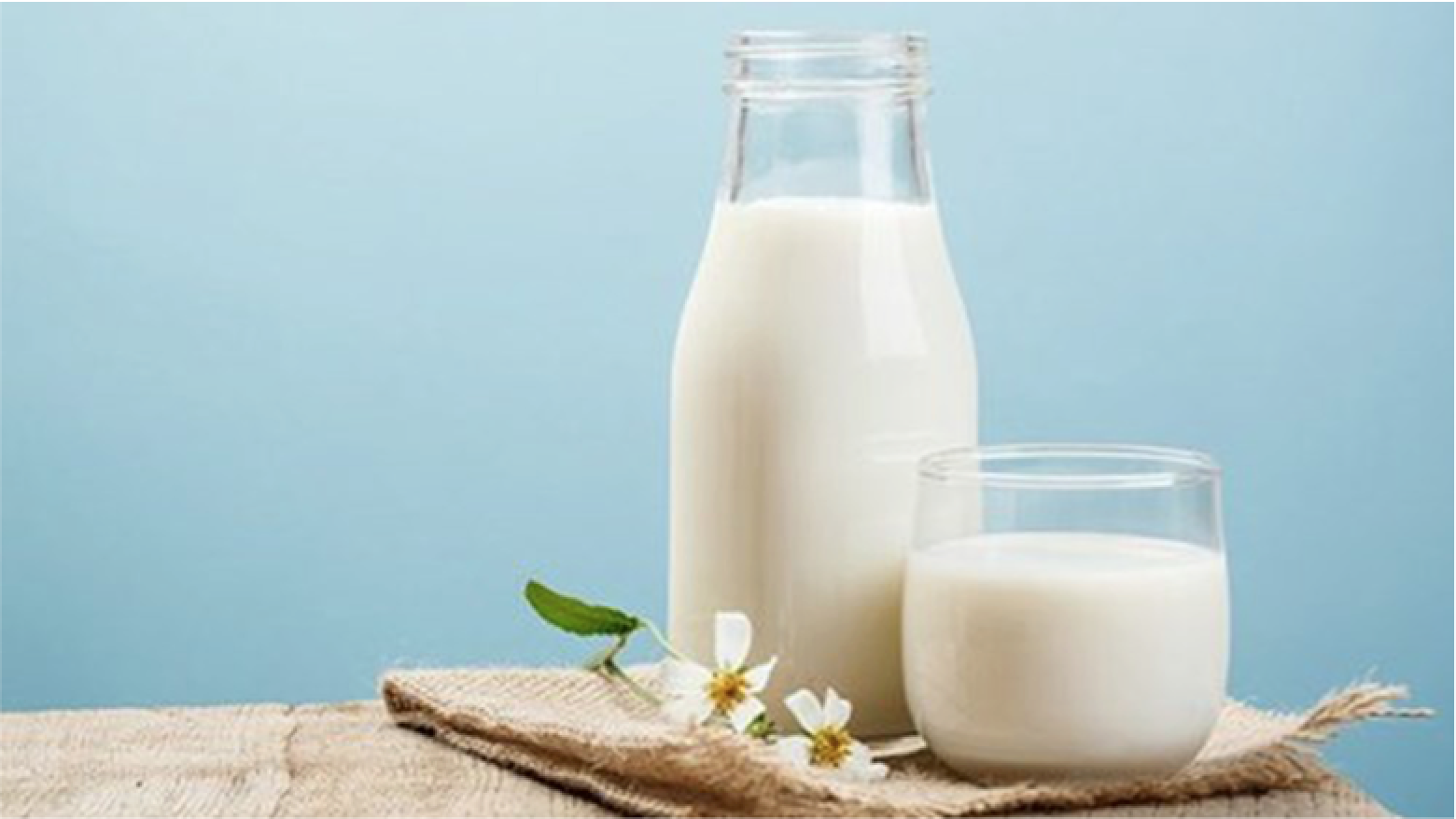 Bộ Sưu Tập Hình Ảnh Sữa Cực Chất Full 4K với Hơn 999+ Hình Ảnh Sữa