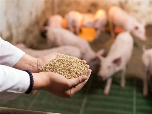 TCVN 14244:2024 VỀ XÁC ĐỊNH HÀM LƯỢNG NITƠ NITRAT VÀ NITƠ NITRIT TRONG THỨC ĂN CHĂN NUÔI