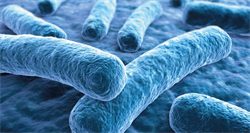 KIỂM SOÁT VI KHUẨN LEGIONELLA TRONG NƯỚC